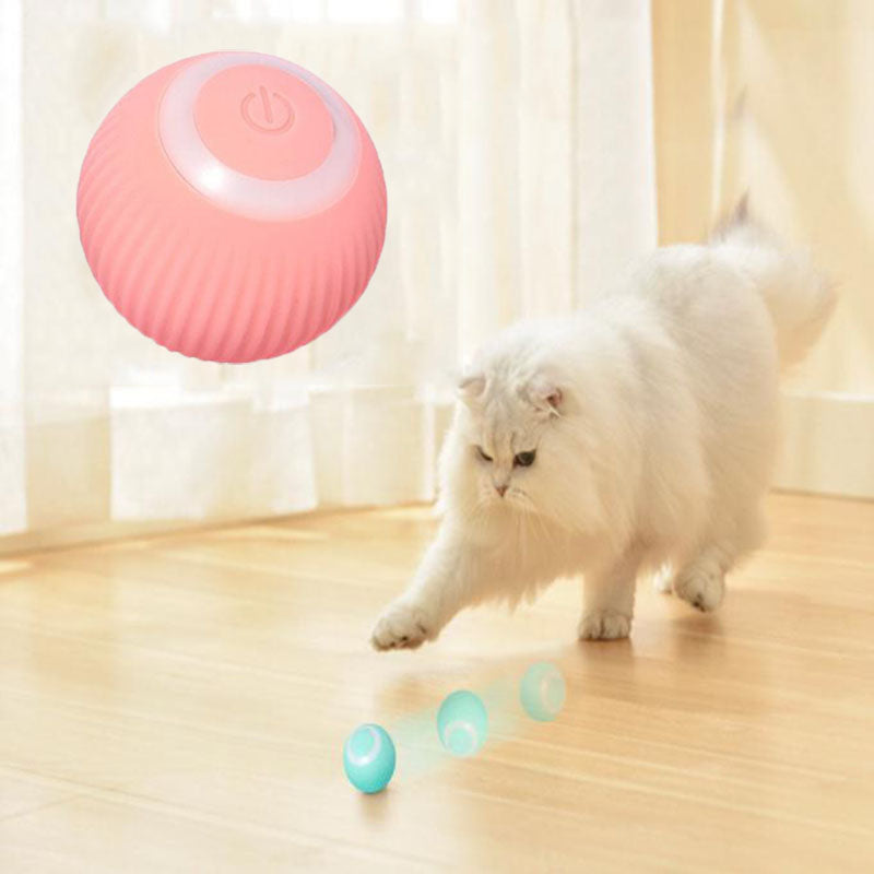 BlimPet Interactive Ball