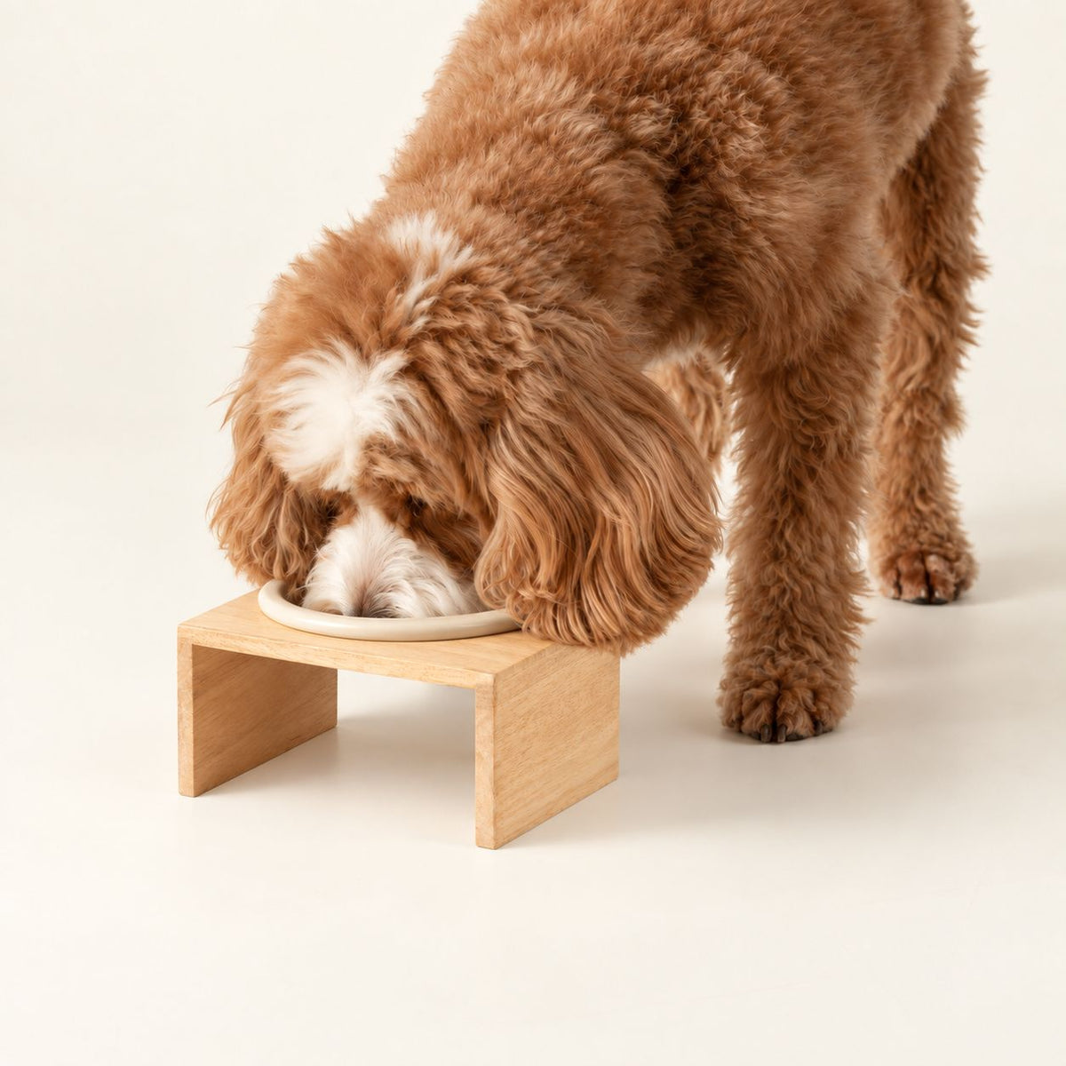 Food Bowl - Large Single Ceramic in Wooden Stand - 14cm