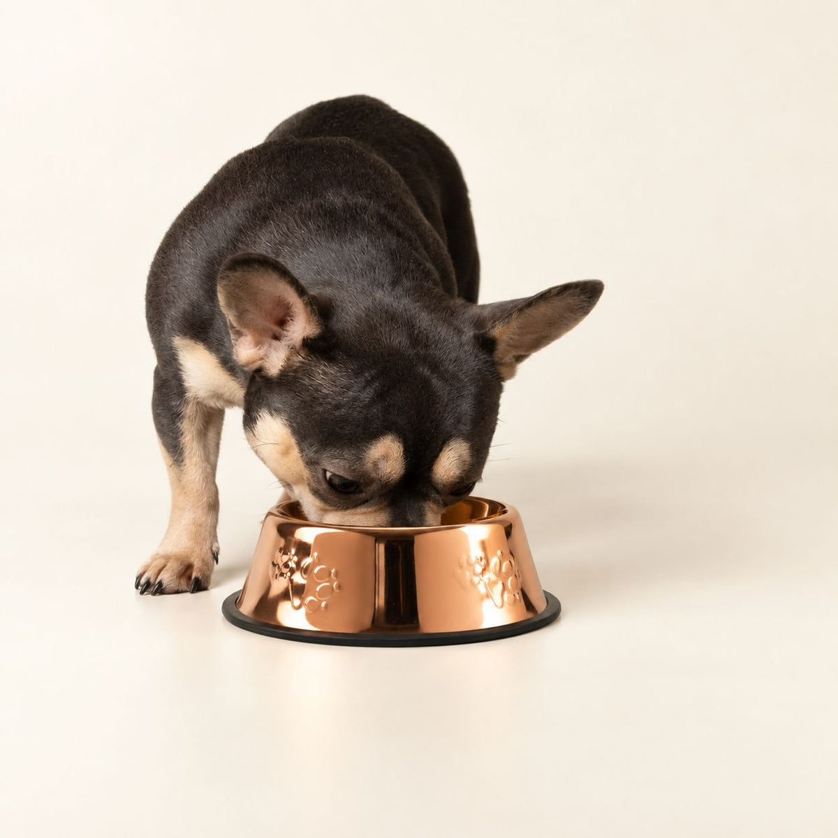 Food Bowl - Single Copper Style - 18cm - Stainless Steel (304)