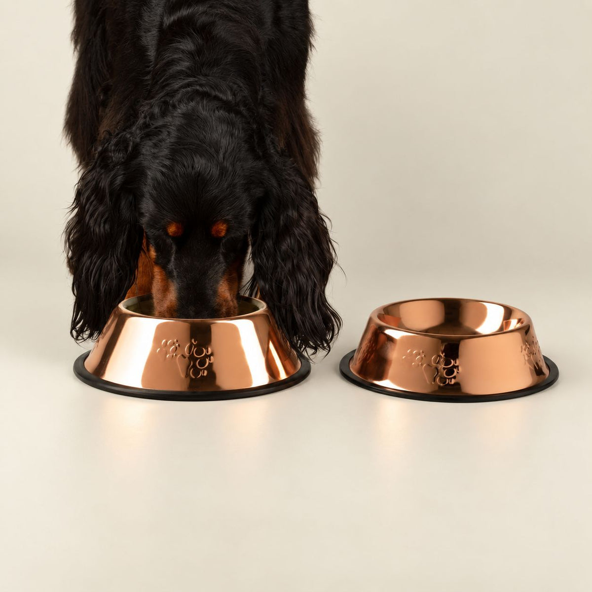 Food Bowl -  Single Copper Style - 22cm - Stainless Steel (304)