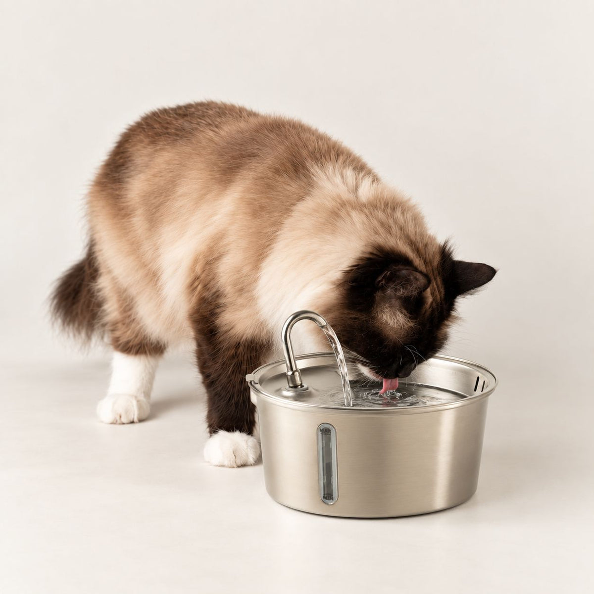 Electric Water Fountain 2.5 Liter - USB - Stainless Steel