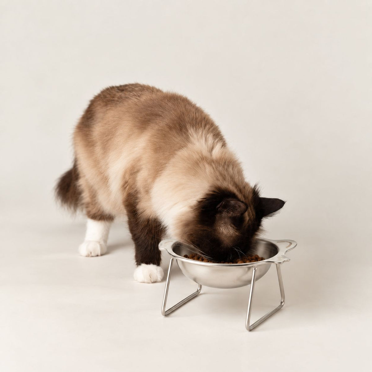 Food Bowl - Single Cat Bowl in Stand - Stainless Steel (304)